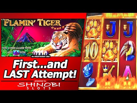 Flamin Tiger Slot - First and Last Attempt in New Aristocrat title