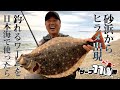 砂浜からヒラメ出現、釣れるワームを日本海で使ったら [堀田光哉のサーフ110番]