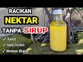 Racikan NEKTAR Tanpa SIRUP Untuk Sogon & Kolibri 🐦