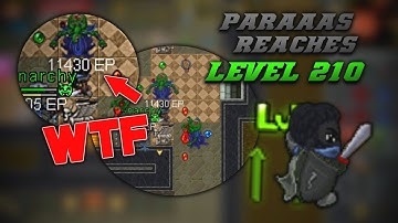 TibiaME: ULTIMATE HUNT 3,5m EXP per 1 hour | Level 210