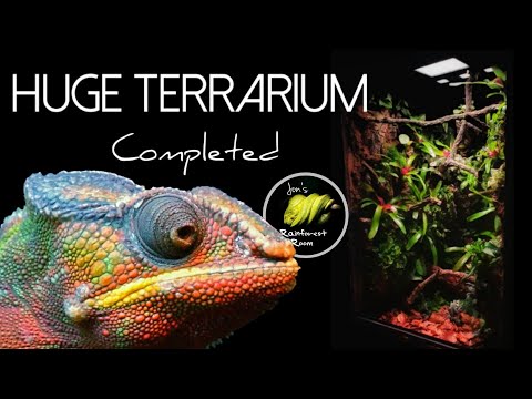 Video: Isetegemise Florarium