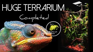 Panther Chameleon Bioactive Terrarium Build Completed