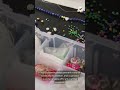 Routine Crafting Style