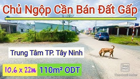 Chủ Ngộp Cần Bán Đất 2 Mặt Tiền- Vị Trí Đẹp Tại Trung Tâm TP Tây Ninh - Điền Thổ Tây Ninh