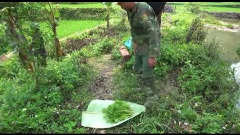 Món pịa dê Tây Bắc