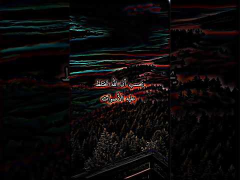 قال سيدنا داوود وكيف كان يرتل الزبور