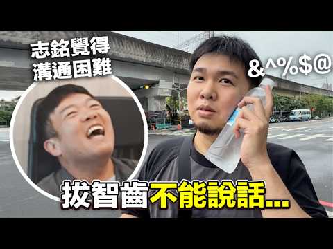 [The raccoon dog can't speak after having its wisdom teeth removed... Zhiming finds communication...