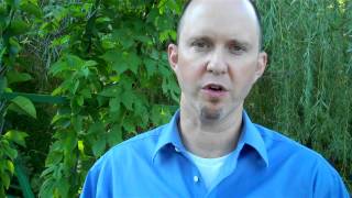 The Vine Invitation Video