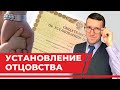 Установление отцовства через суд, семейный юрист разбирает статьи кодекса и примеры из практики