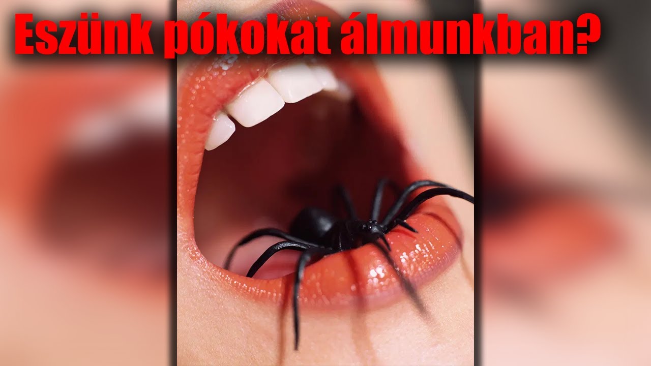pók zsírégető)