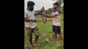 JIO മച്ചാൻ ON KALIPP|JIO JOSEPH|M4 TECH