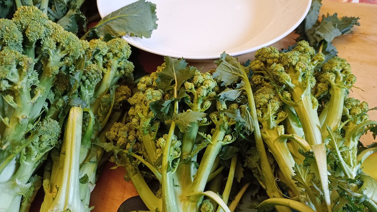 หั่นผักไว้ทำอาหาร บร็อคโคลี่อิตาลี Cime di rapa/broccoli rape - YouTube
