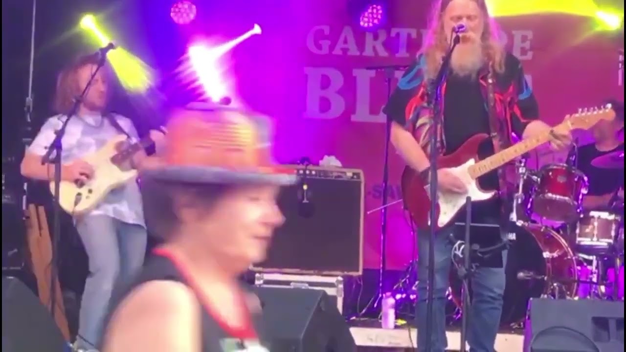 Almost Cut My Hair  (cover David Crosby ⁄ CSN&Y ) - Hofmann Family Blues Experience