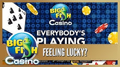 Big Fish Casino Free Coins Big Fish Casino Free Coins