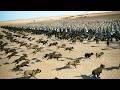 Total War Rome 2 | 1,200 Wardogs Vs 4,800 Kartli Axeman