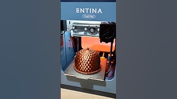 🐿️3D-prints a modern decorative acorn container. #entina3d #3dprinting #3dprint #3dprinter #diy