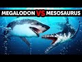 Megalodon Versus Mosasaurus si Dino Laut Raksasa, Mana yang Lebih Jagoan?