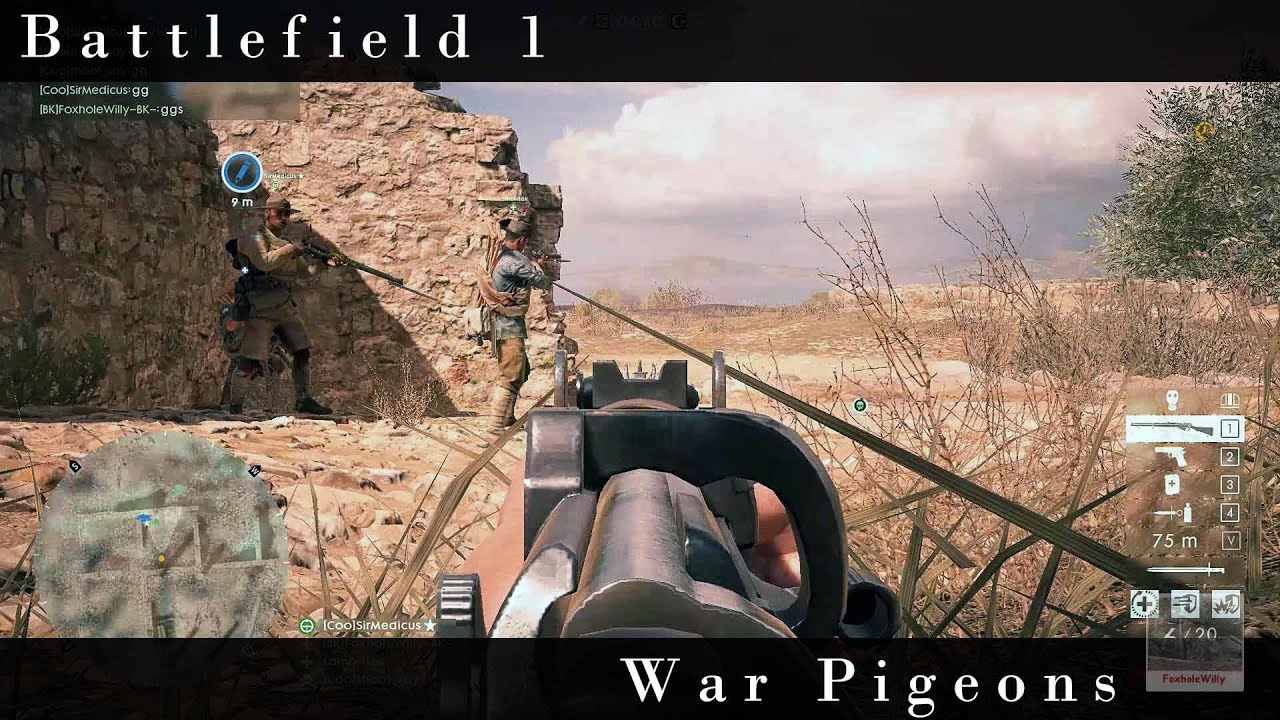 Battlefield 1:  War Pigeons