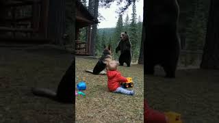 Dog Is Carefully Bab👶 Shorts