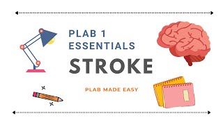 PLAB 1 Essentials : Stroke screenshot 3