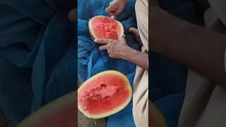 pushpa #king #alluarjun #travel #trendingshorts #Panna #trendingshorts #villagelife #farming #vlog