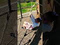 día divertido en el parque