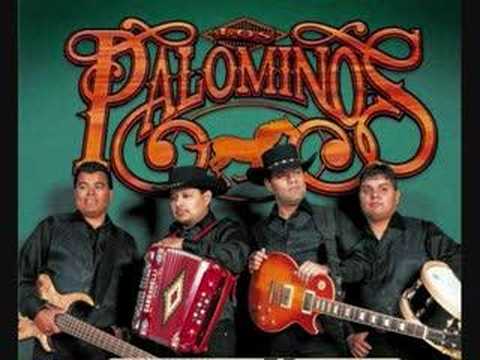 Como Olvidarte - Palominos