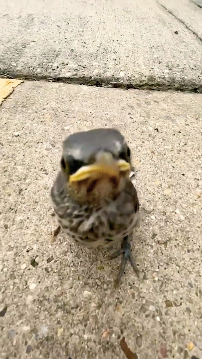 'you betta get that thing outta my face, pal!' 👁️🔻👁️