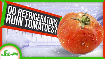 Jak poznáte, zda jsou rajčata zdravá?