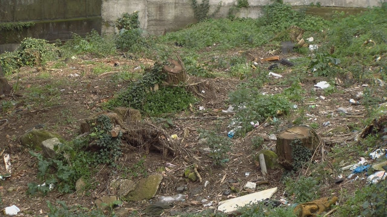 A Asociación Vaipolorío recolleu preto de 700 kg de lixo no río Gafos asociación a modo de joint venture