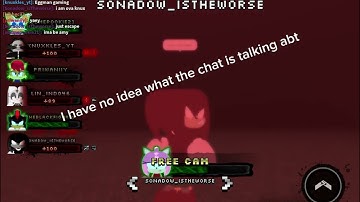 Found a hacker in sonic. Exe the disaster 1.2