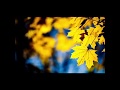 გია ყანჩელი - ყვითელი ფოთლები Gia Yancheli - Yellow leaves (2 საათი/2 hour)