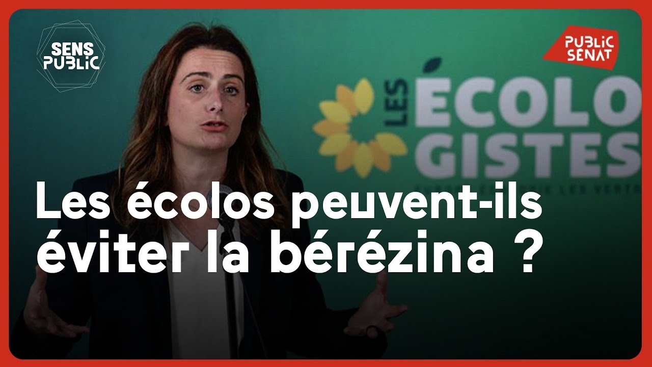 Municipales : les écolos peuvent-ils éviter la bérézina ?