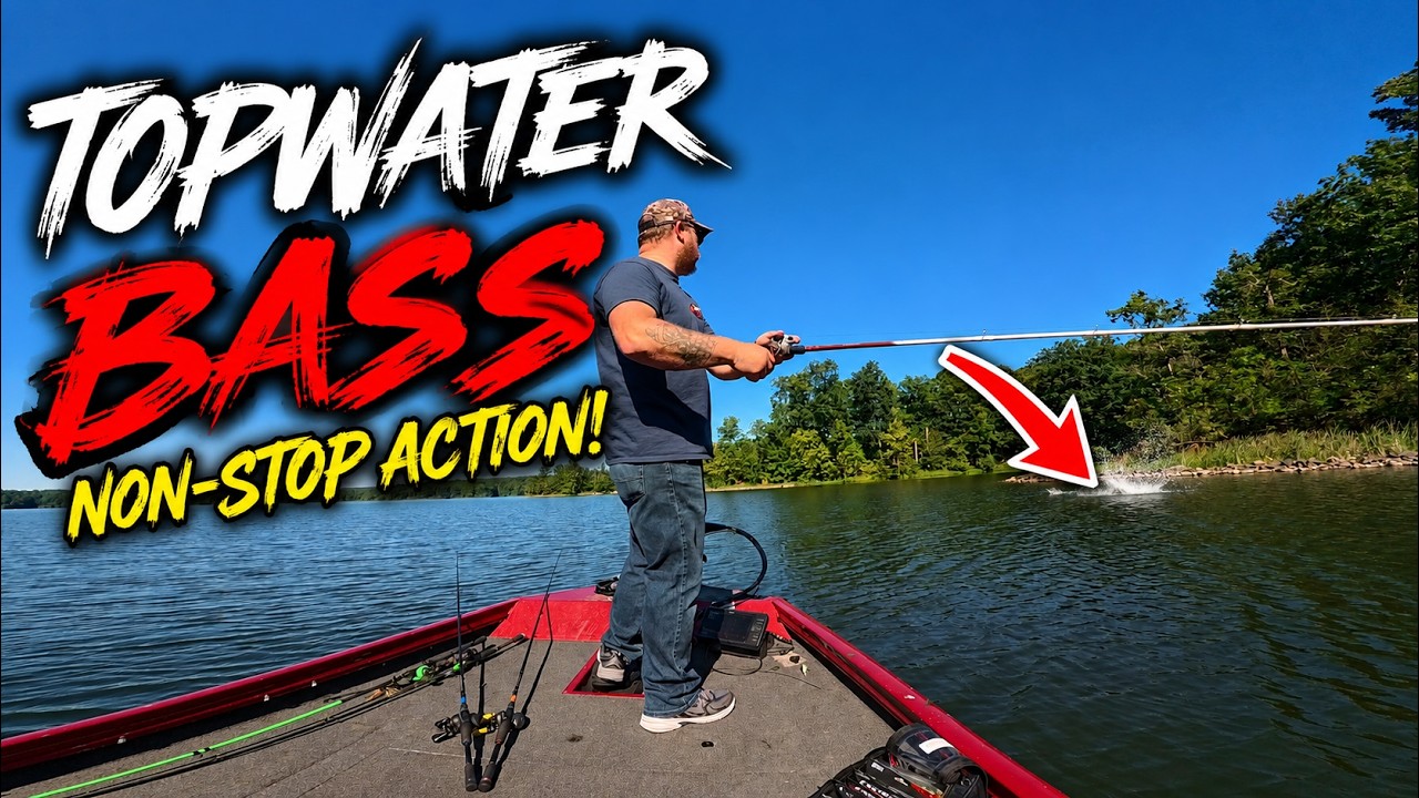 We Cracked the Code! How We Caught These Big Bass