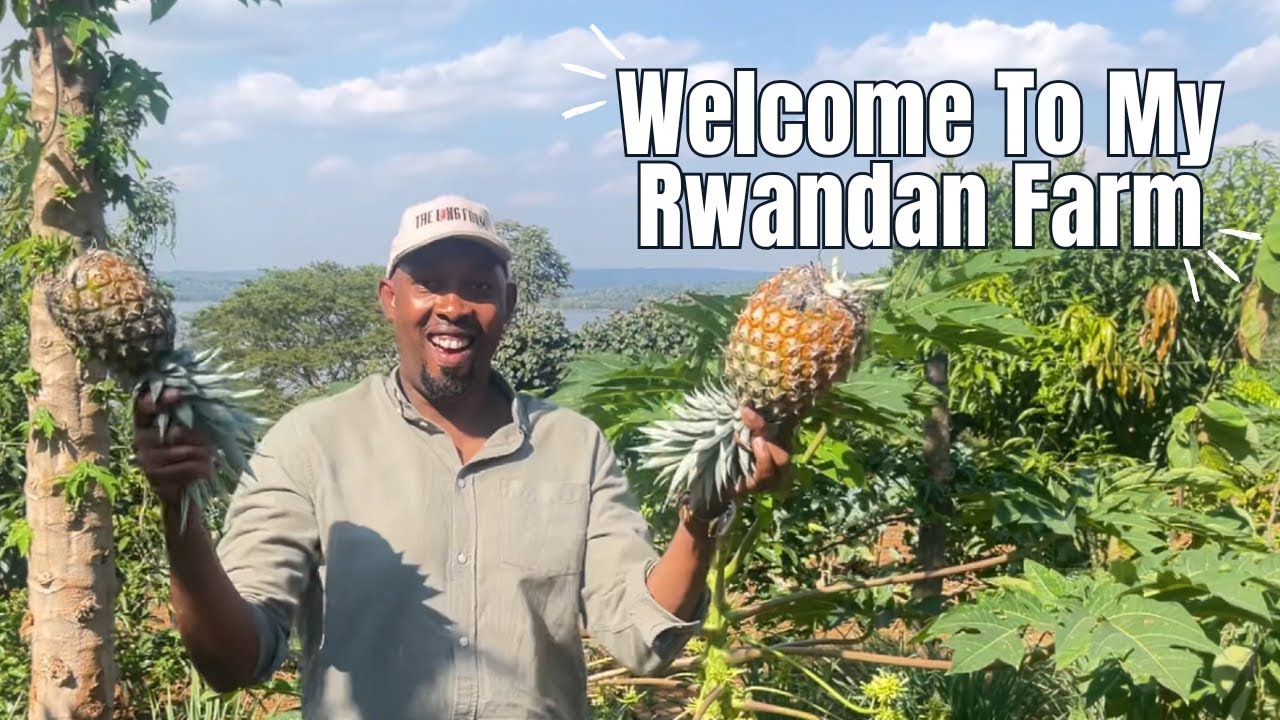 This is My Rwandan Farm-Take A Tour With Me