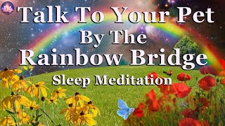 Meet Your Beloved Pet In Spirit At The  Rainbow Bridge Guided Meditation (432 Hz Binaural Beats)