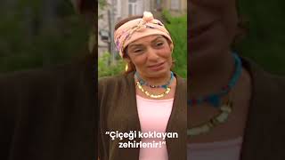 Çiçeği Koklayan Zehirlenir