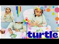 How to color in turtle | easy coloring step by step for all ages of toddlers #colors #turtle #kids