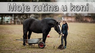 Moje rutina u koní | EquiStella