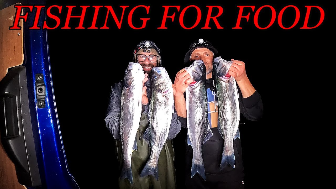 BIG BASS HUNT ON EASTERLY WIND | BASS FISHING IN NORTH WALES | SEA FISHING UK | MASTERFISHERMAN