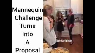 Mannequin Challenge turns into a Proposal