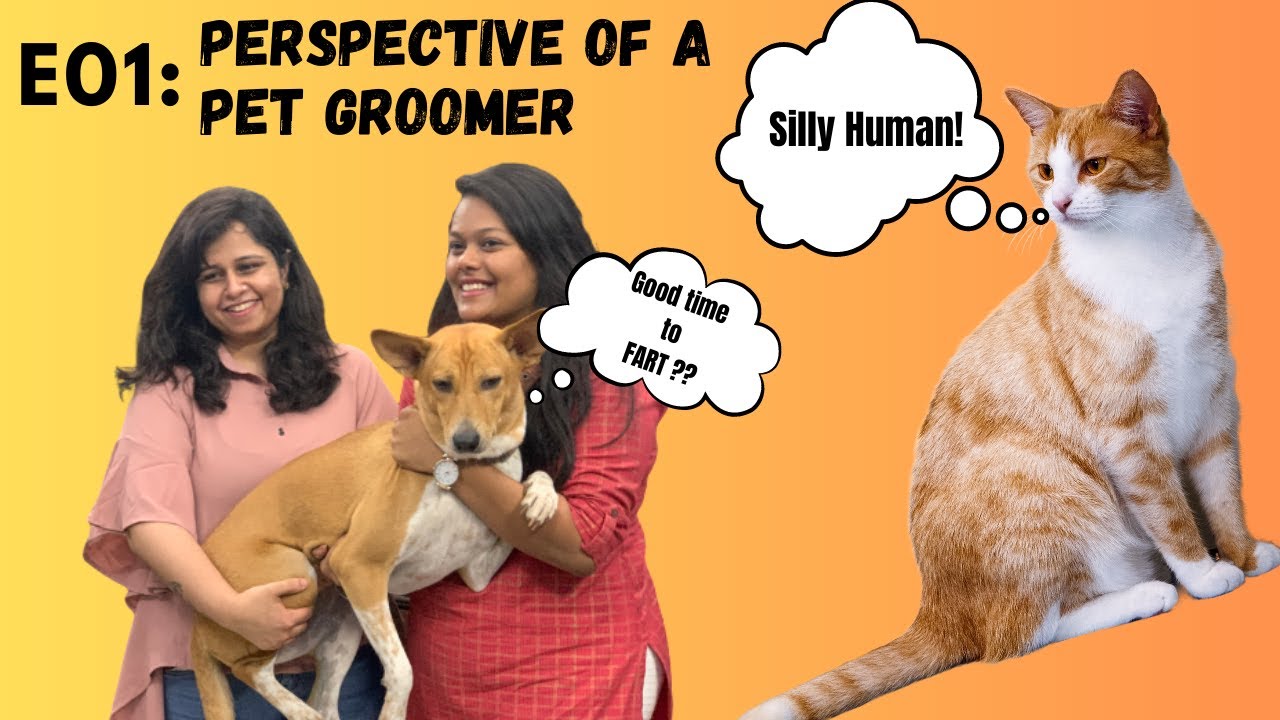 E01 From Passion to Business The Inspiring Journey of a Young Pet