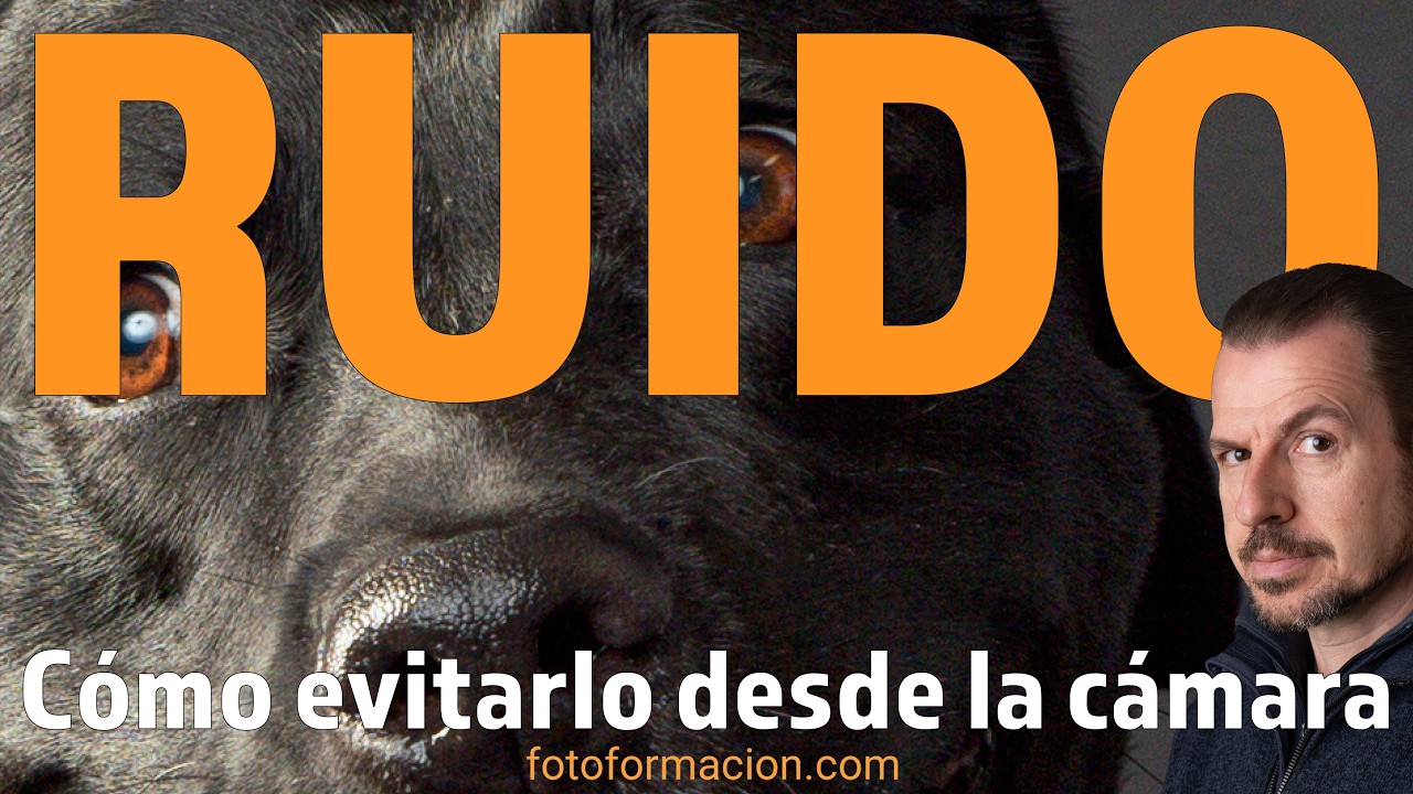 Cómo evitar el RUIDO desde la cámara