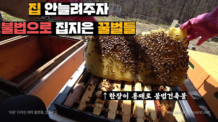 집좁다고 불법건축하는 벌들 2층 목조주택으로 집교체해주기