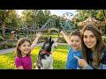 I TURNED OUR BACKYARD INTO A THEME PARK… | The Anazala Family