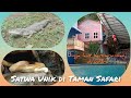 Keren, banyak ular cantik dan satwa unik disini !!!