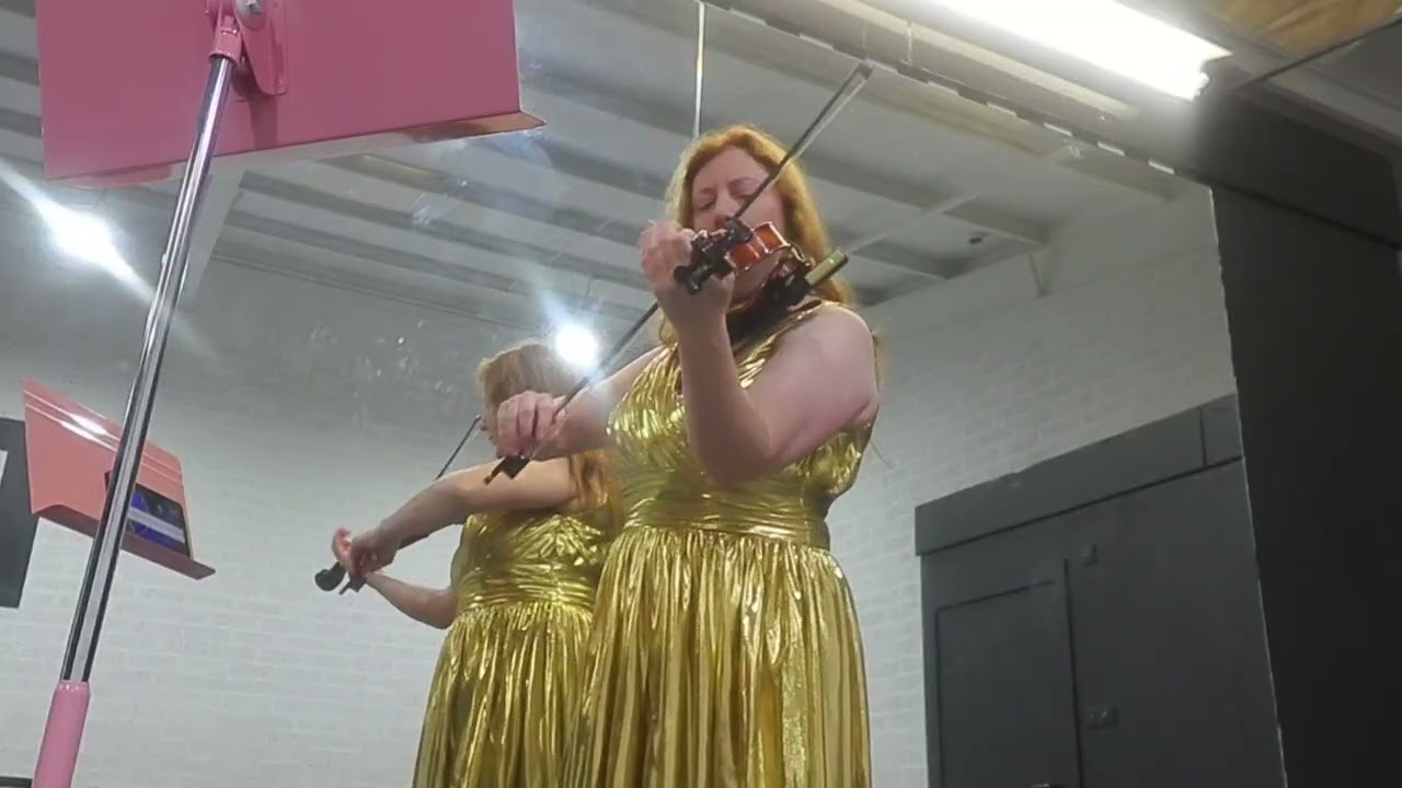 HOW TO TRAIN YOUR DRAGON ~ Test Flight (solo violin version)