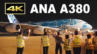 [4K] ANA Airbus A380 