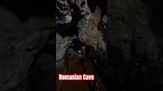 Old Cave Bear Bones Fossils At Dambovicioara Romania