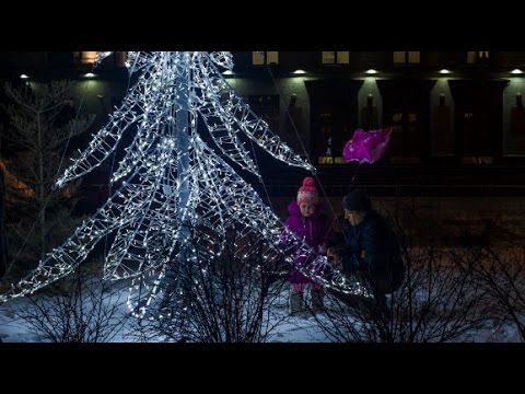 Какую елку выбирают крымчане: искусственную или настоящую?